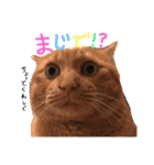 キャロとピノ（個別スタンプ：14）