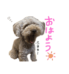 キャロとピノ（個別スタンプ：16）