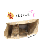 キャロとピノ（個別スタンプ：26）