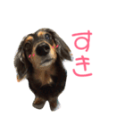 ありまうす（個別スタンプ：3）
