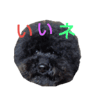 わんこアンドにゃんこ（個別スタンプ：8）