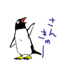 毎日ペンギンズ（個別スタンプ：9）