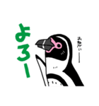 毎日ペンギンズ（個別スタンプ：16）