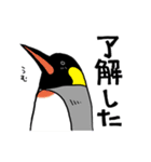 毎日ペンギンズ（個別スタンプ：26）