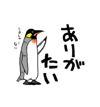 毎日ペンギンズ（個別スタンプ：27）