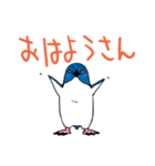 毎日ペンギンズ（個別スタンプ：31）