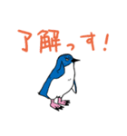 毎日ペンギンズ（個別スタンプ：32）