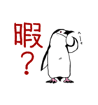 毎日ペンギンズ（個別スタンプ：37）