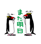 毎日ペンギンズ（個別スタンプ：40）