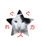 いつ使うねん（個別スタンプ：3）