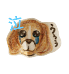 PACE ITALIAN LOUNGE（個別スタンプ：11）