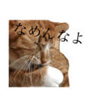 まるくぅスタンプ第2弾（個別スタンプ：12）