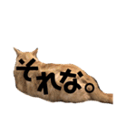 まるくぅスタンプ第2弾（個別スタンプ：13）