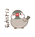 ぷくぷく文鳥～日常編～（個別スタンプ：1）