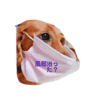 あいポ（個別スタンプ：3）