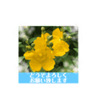 丁寧な花達（個別スタンプ：4）