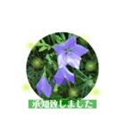 丁寧な花達（個別スタンプ：5）