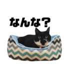 おこいも（個別スタンプ：2）