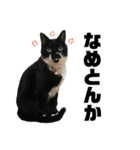 おこいも（個別スタンプ：6）