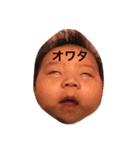 Ryyo（個別スタンプ：1）