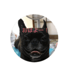 あ太郎くんと小太郎の日常（個別スタンプ：1）