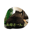 あ太郎くんと小太郎の日常（個別スタンプ：3）