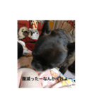 あ太郎くんと小太郎の日常（個別スタンプ：5）