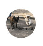 あ太郎くんと小太郎の日常（個別スタンプ：8）