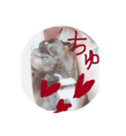 あ太郎くんと小太郎の日常（個別スタンプ：16）