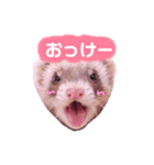 くるみあんずここな（個別スタンプ：1）