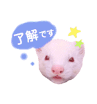 くるみあんずここな（個別スタンプ：3）