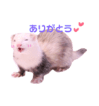 くるみあんずここな（個別スタンプ：4）
