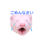 くるみあんずここな（個別スタンプ：7）