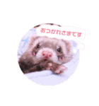 くるみあんずここな（個別スタンプ：10）