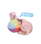 くるみあんずここな（個別スタンプ：11）
