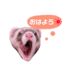 くるみあんずここな（個別スタンプ：12）
