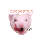 くるみあんずここな（個別スタンプ：16）