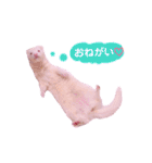 くるみあんずここな（個別スタンプ：17）