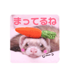くるみあんずここな（個別スタンプ：20）