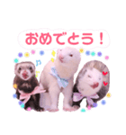 くるみあんずここな（個別スタンプ：23）