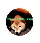 チャンピーの日常（個別スタンプ：2）