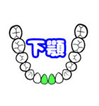 歯式.ジグモンディシステム.歯科技工士（個別スタンプ：30）