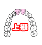 歯式.ジグモンディシステム.歯科技工士（個別スタンプ：31）