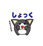 にゅんねこ②（個別スタンプ：24）