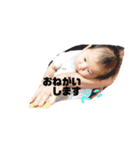 はばたけ姉弟妹（個別スタンプ：7）