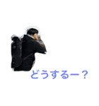 ただ、普段使いやすいスタンプ達（個別スタンプ：19）