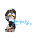 ただ、普段使いやすいスタンプ達（個別スタンプ：31）