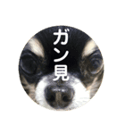 ぱったんとべすけ（個別スタンプ：6）