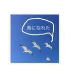 レイモンドのスタンプ（個別スタンプ：4）