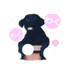黒ラブ ラブラドールレトリバー（個別スタンプ：25）